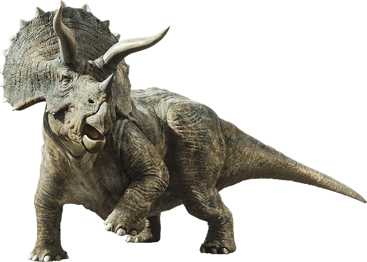 triceratops