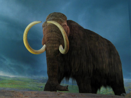 imagen de mamut lanudo
